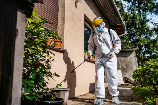 Best Pest Control Near Me in Watauga, TX